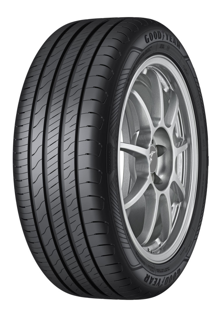 固特異 (Goodyear)  EfficientGrip Performance 2