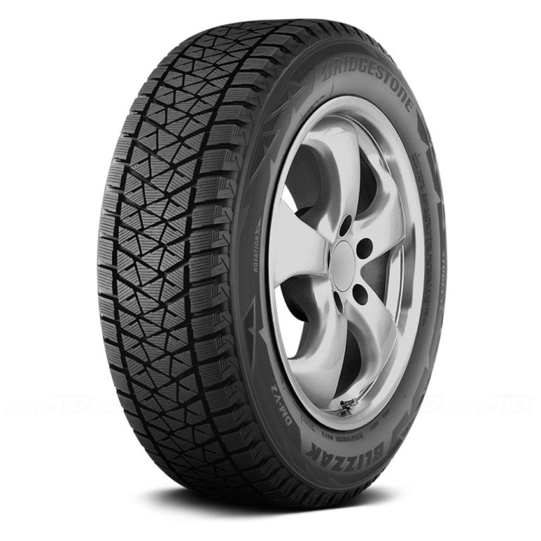 普利司通 (Bridgestone) Blizzak DM V2 (DM V2)